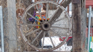 This wheel was the door to someone's fence. It was very cool.
