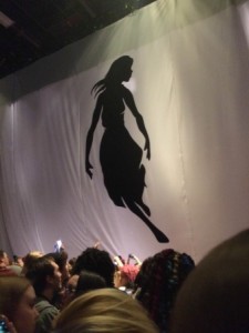 Giant banner blocking the stage before Pierce the Veil was to take the stage