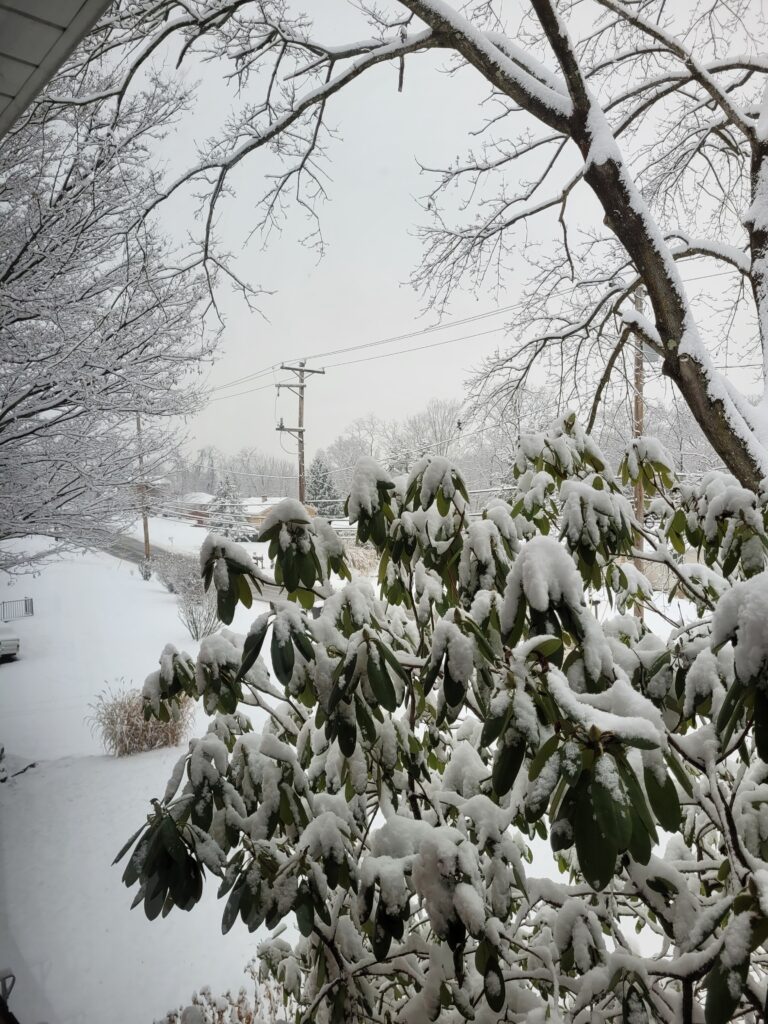 Most areas throughout Pittsburgh got around 3-4 inches of snow on Tuesday.