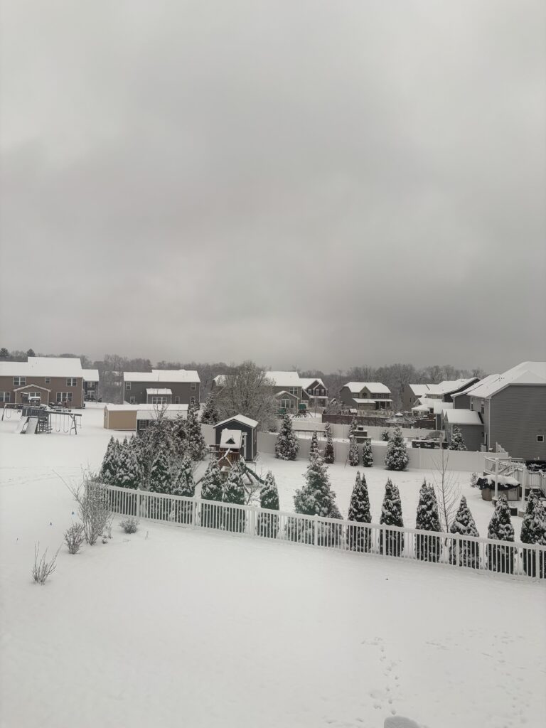 Snow covered the neighbor's play set, preventing the kids from using it. The soft layer of white covered all visible yards.
